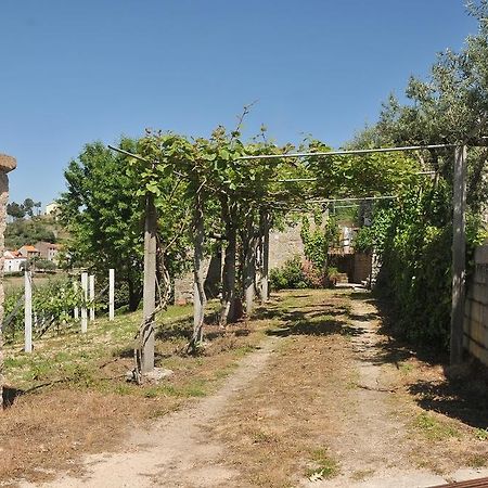 Villa Quinta do Vale Sanguinho Seia Esterno foto