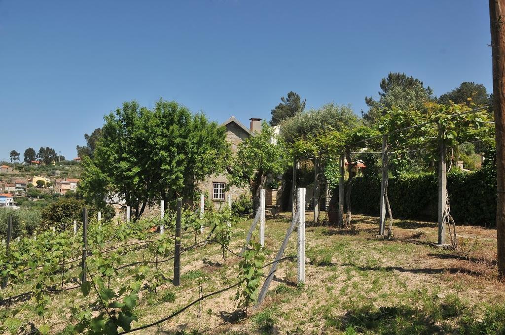Villa Quinta do Vale Sanguinho Seia Esterno foto